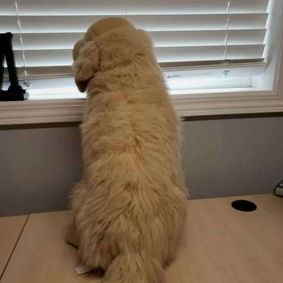 Plush Golden Retriever Stuffed Animal Toy - Picture 4 of 8